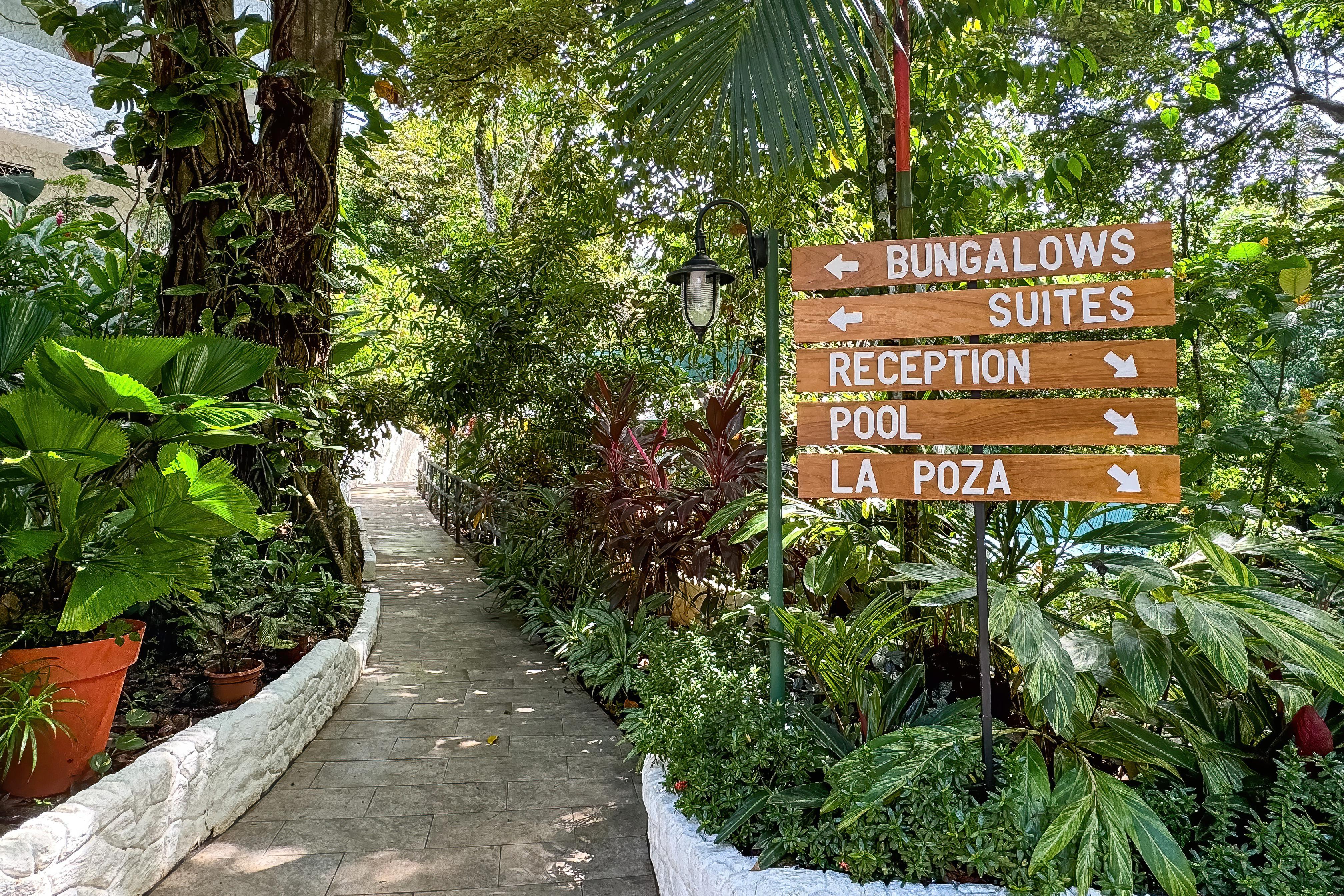 Ecotica Boutique Hotel (Adults Only) Manuel Antonio Luaran gambar